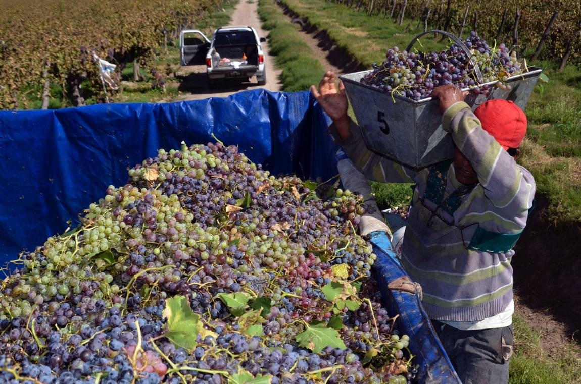 Jubilación anticipada a trabajadores de la vitivinicultura: Diputados emitió dictamen