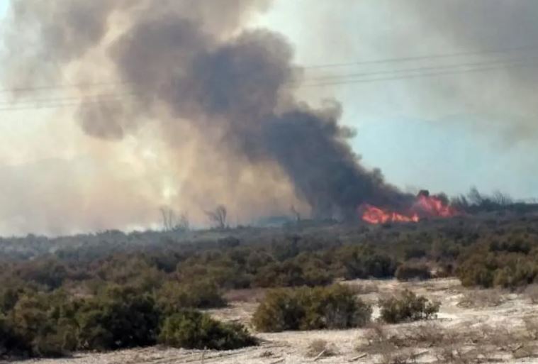 Caucete: Detuvieron a un joven de 19 años por provocar un incendio de pastizales
