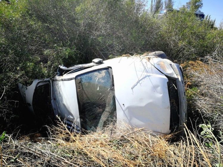 9 de Julio: automovilista chocó contra un caballo y volcó