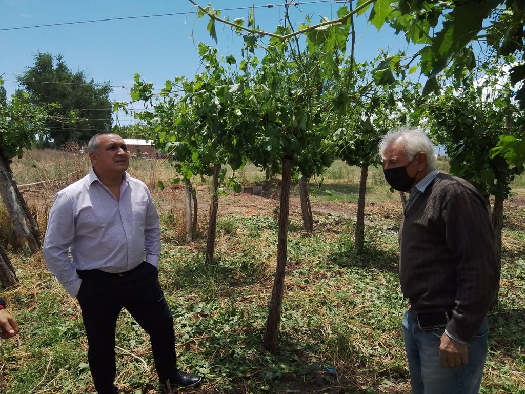 Inscriben a productores damnificados por el granizo
