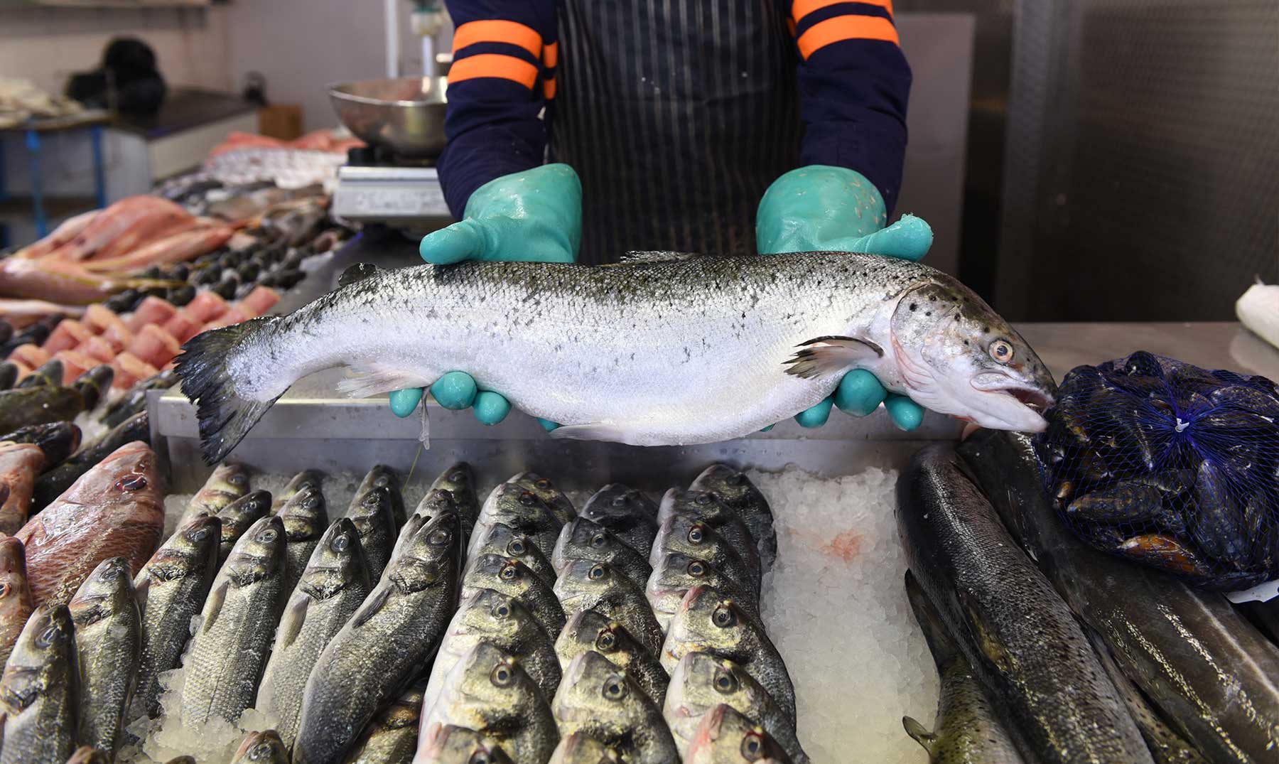 Semana Santa: el precio del pescado subió 25% en comparación con 2021
