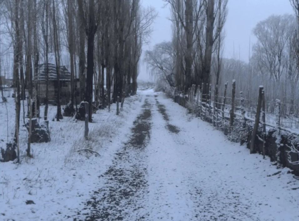 Según el SMN en Caucete podría nevar el fin de semana