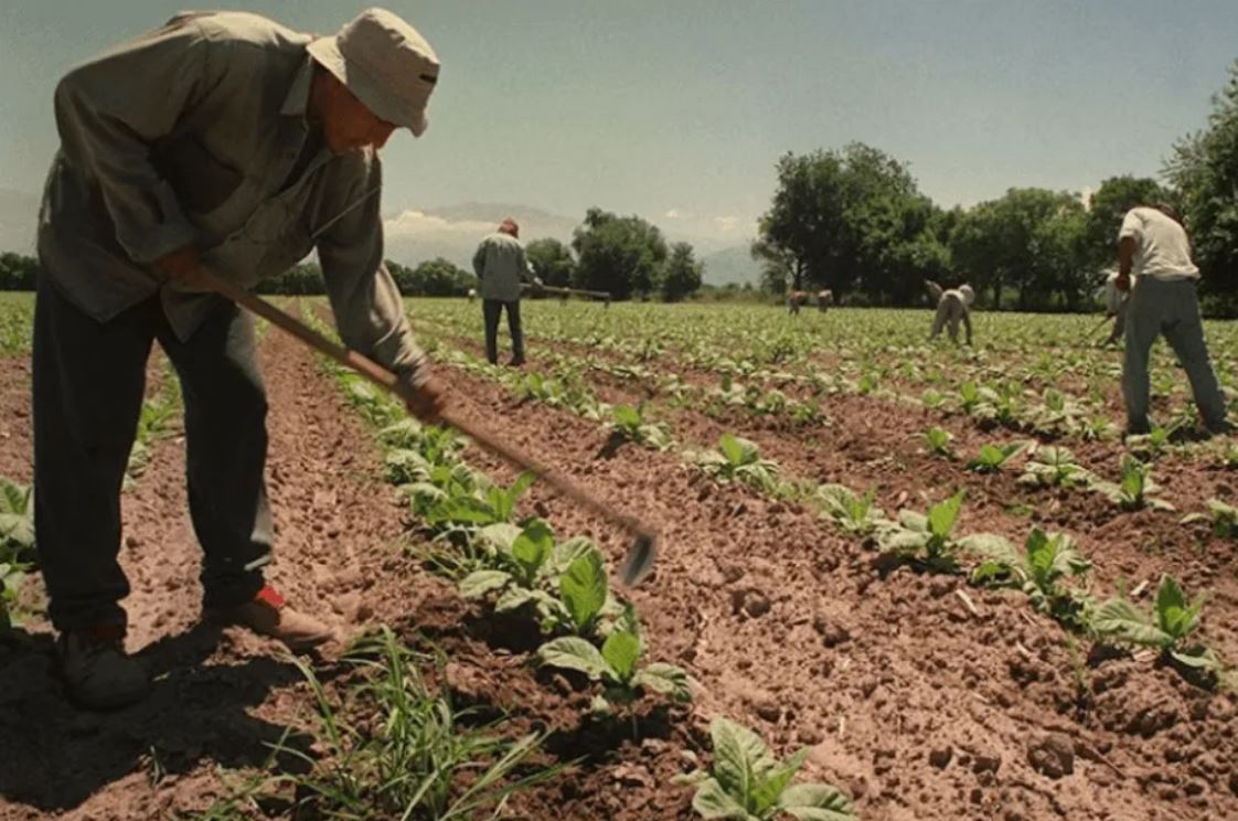 Oficializaron un bono extraordinario de $50.000 para trabajadores rurales