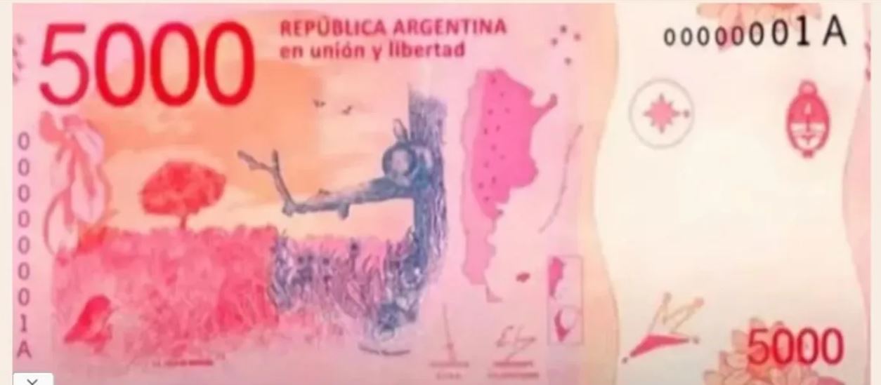 En el Gobierno admiten que podrían sacar un billete de $2.000 y $5.000