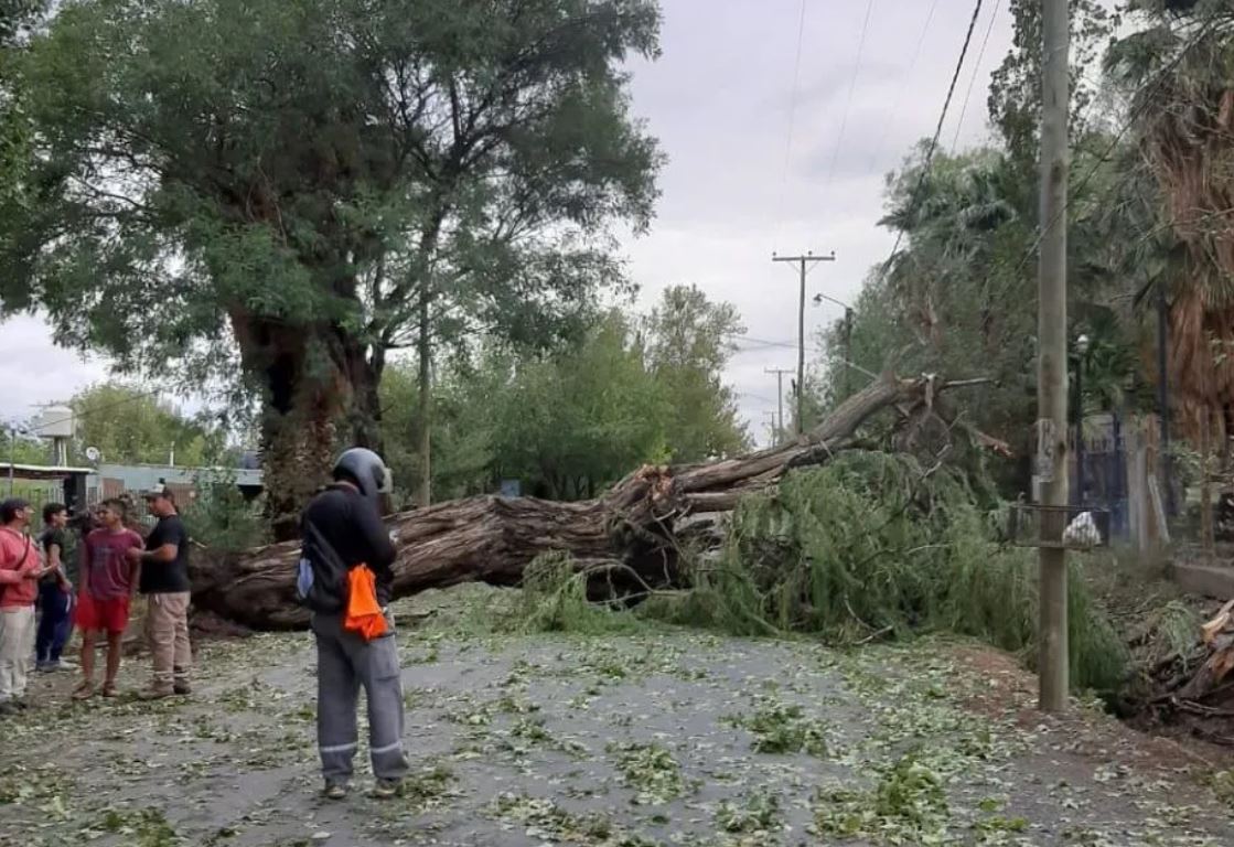 Asisten a familias de 5 departamentos tras la intensa tormenta de la madrugada