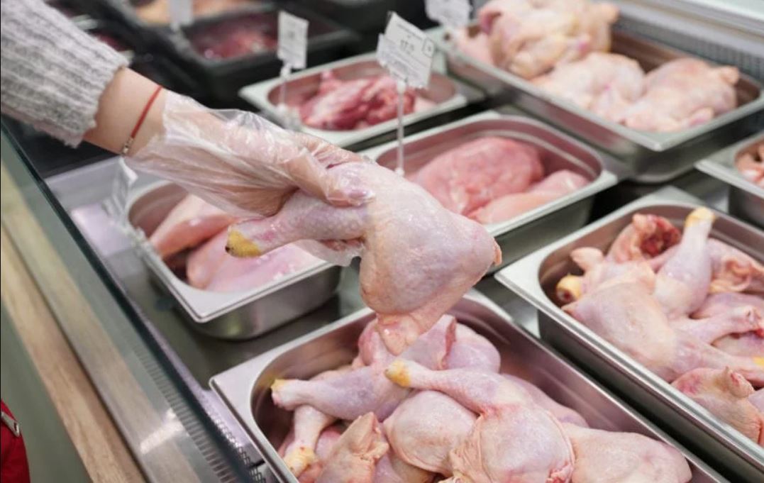 Gripe aviar: por el cierre de las exportaciones creen que bajaría el precio de los pollos en San Juan