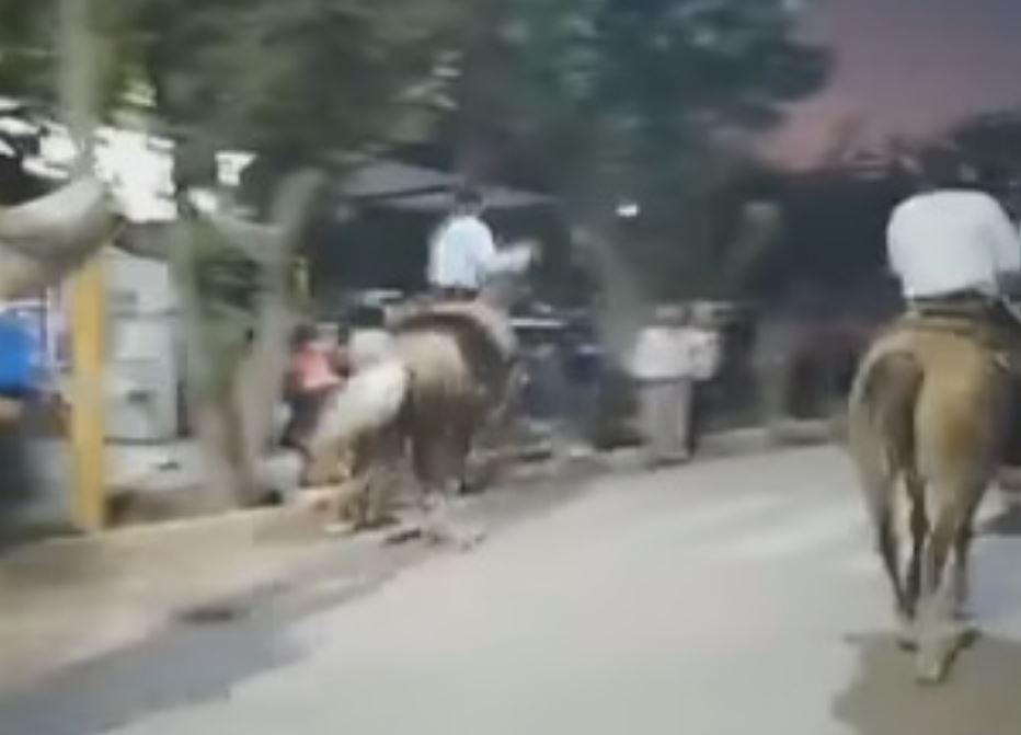 Caucete: habló el gaucho al que le partieron la cabeza con un rebenque