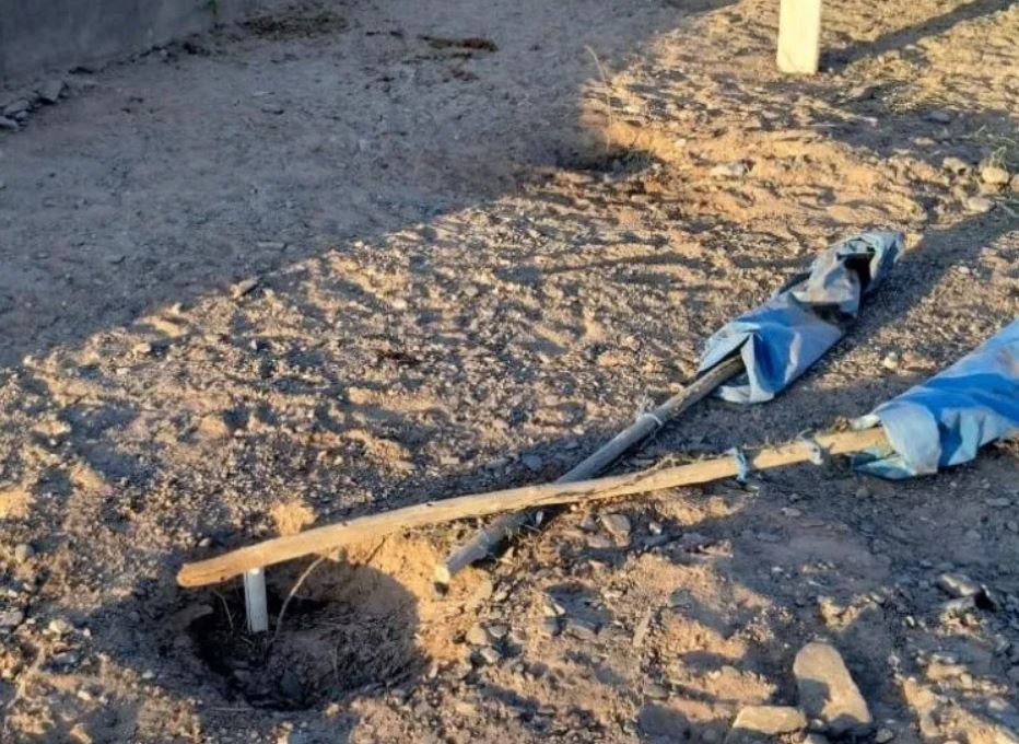 Saquean hasta 100 árboles por mes en el predio de la Difunta