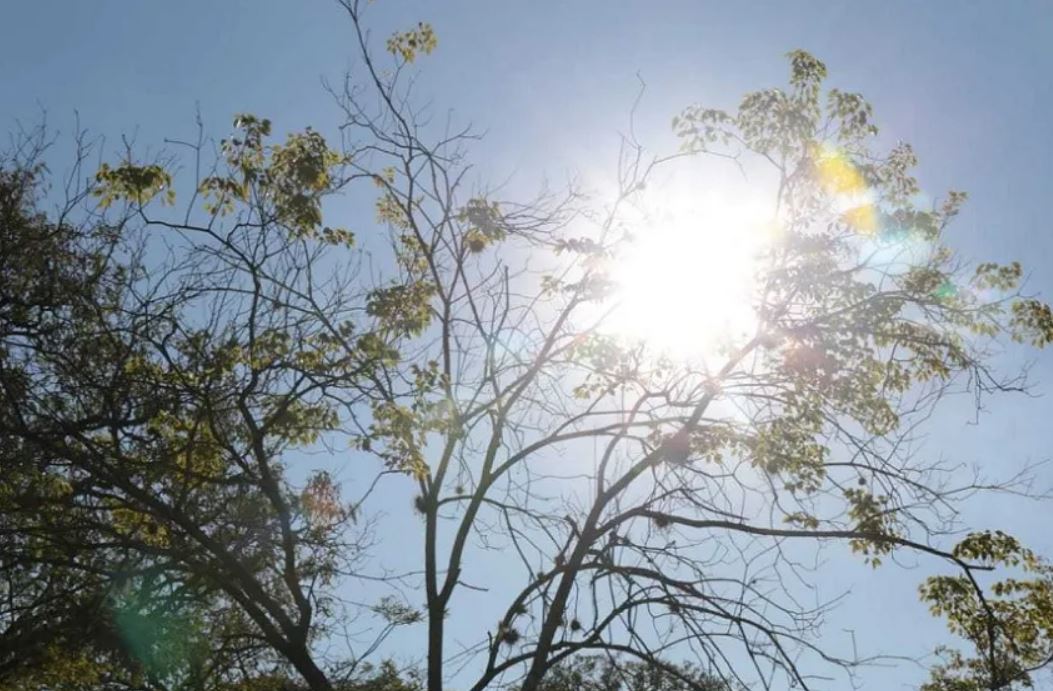Se espera un día cálido con una máxima de 25°