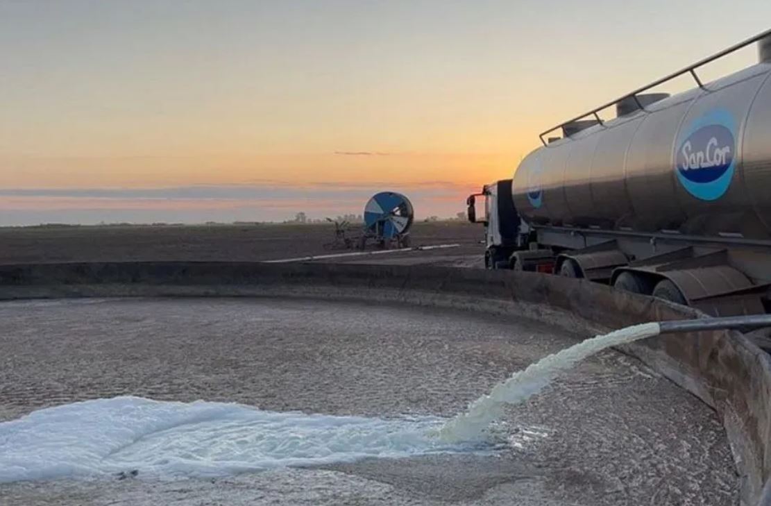 Productores de SanCor «no entregarán más leche» si el conflicto sindical perdura