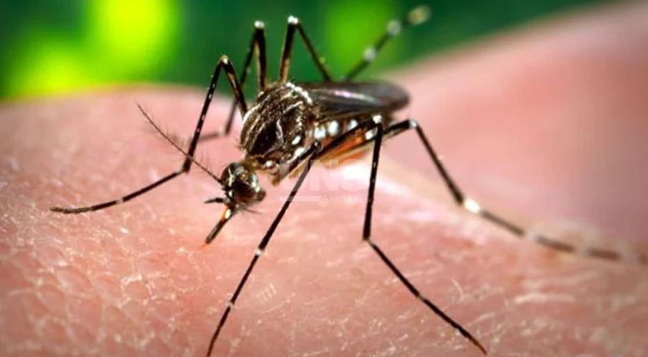 Salta, la primera provincia en aplicar la vacuna contra el dengue