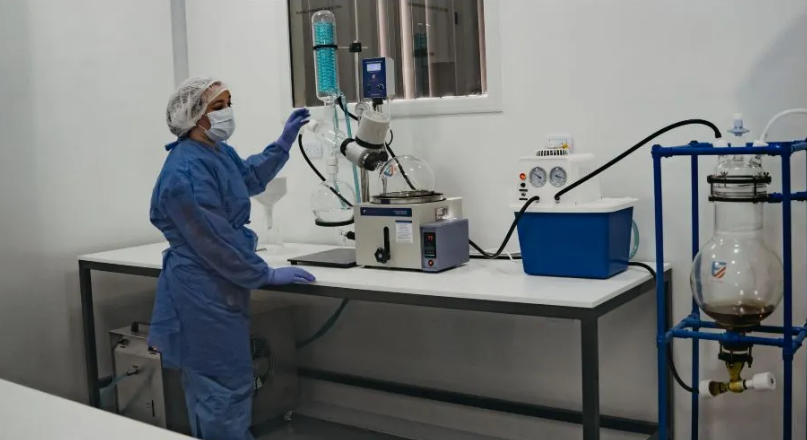 San Juan: ya producen cannabis medicinal sólo faltan trámites para su venta