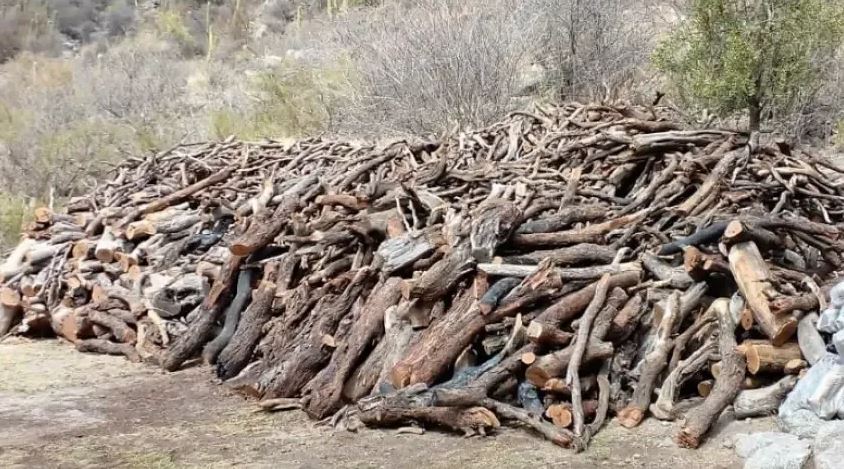 PAMI entrega leña a los afiliados: a quiénes les corresponde y cómo acceder