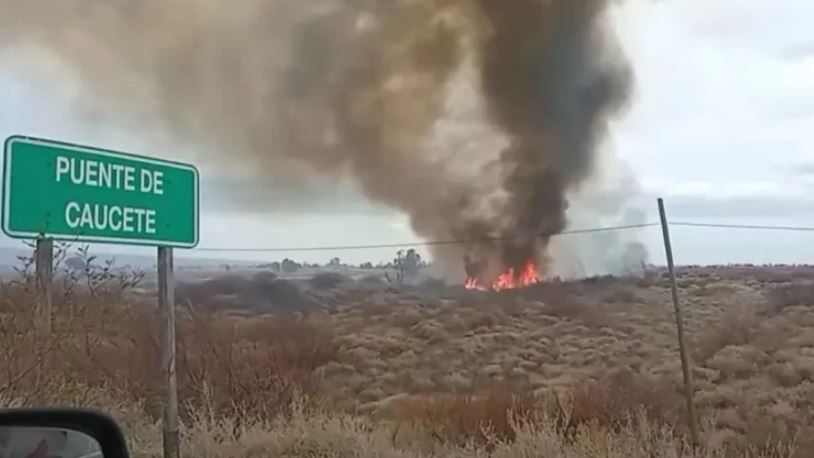 Fueron más de 40 los incendios en San Juan por el viento Zonda