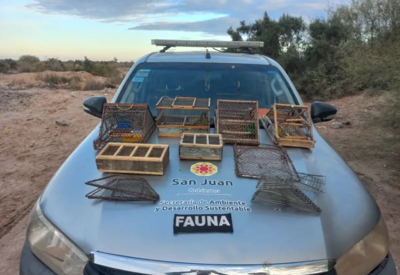 San Juan refuerza la conservación de la fauna silvestre con mayor control en la caza furtiva