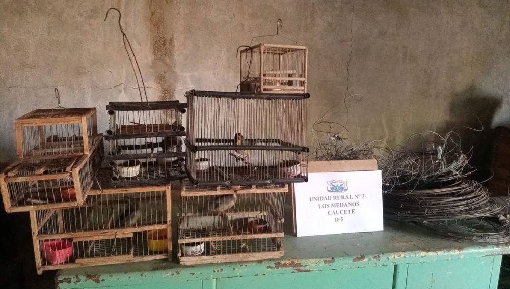 Allanamientos permitieron recuperar objetos robados en Caucete y San Martín