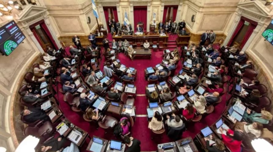 El Senado dejó sin efecto el veto de Milei y reactivó la ley de emergencia en discapacidad