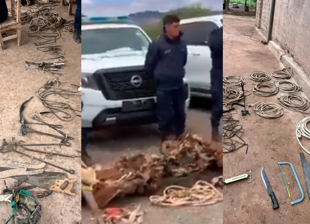 Cayó la banda que había robado 150 vacas, las faenaban y las las vendian en La Rioja