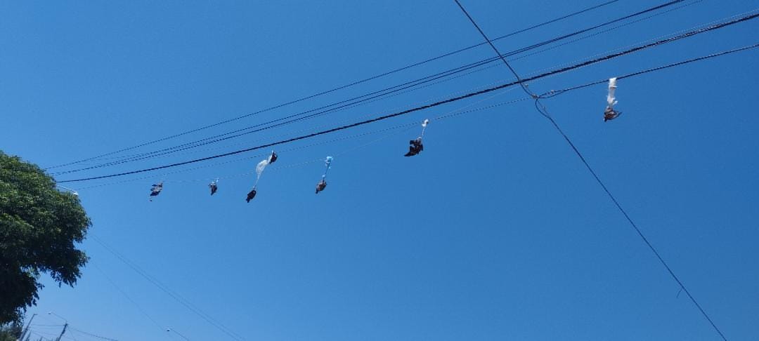 Caucete: aparecen palomas muertas colgadas de cables eléctricos