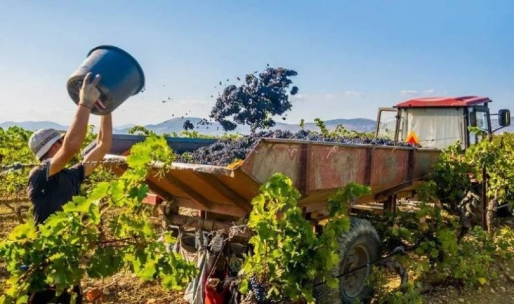 Orrego lanzó un plan de $11.000 millones para financiar la cosecha y elaboración de sectores agroindustriales