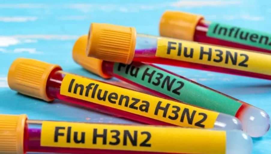 Influenza A H3N2: todo lo que tenes que saber sobre la nueva mutación