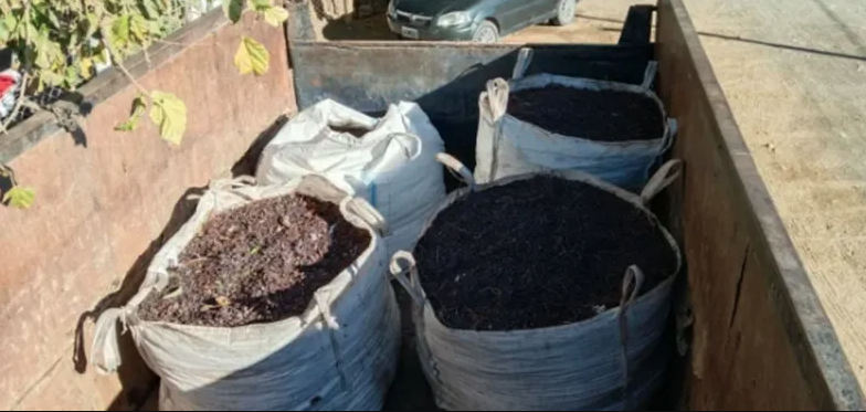 Entraron a una finca de San Martín y robaron dos toneladas de pasas de uva