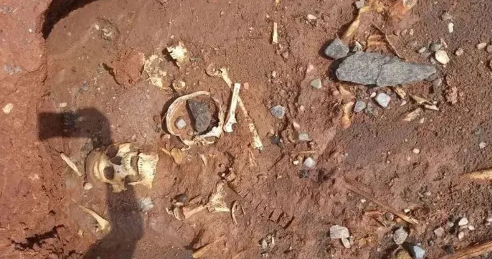 Los huesos hallados en Marayes pertenecen a cinco personas, entre ellas, dos adolescentes