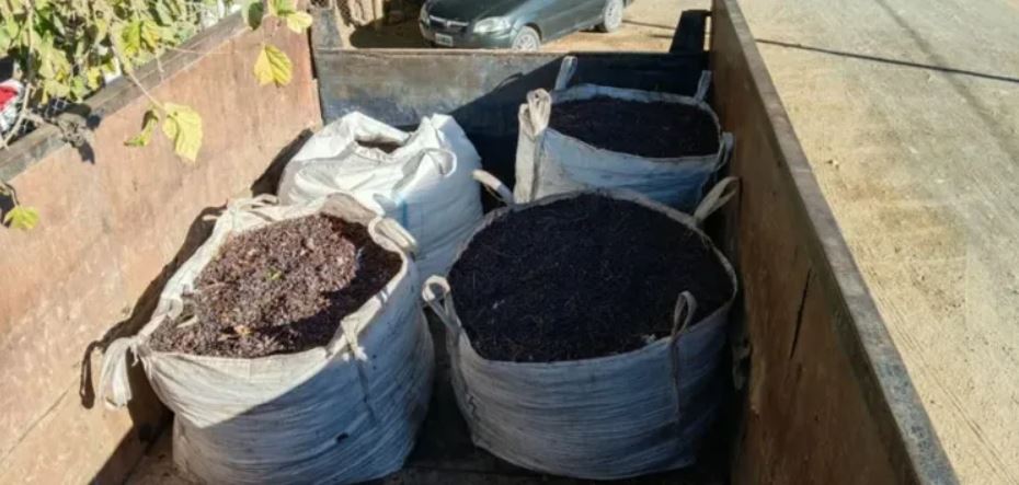 En tres días robaron 2.700 kilos de pasas en fincas de Caucete y 25 de Mayo