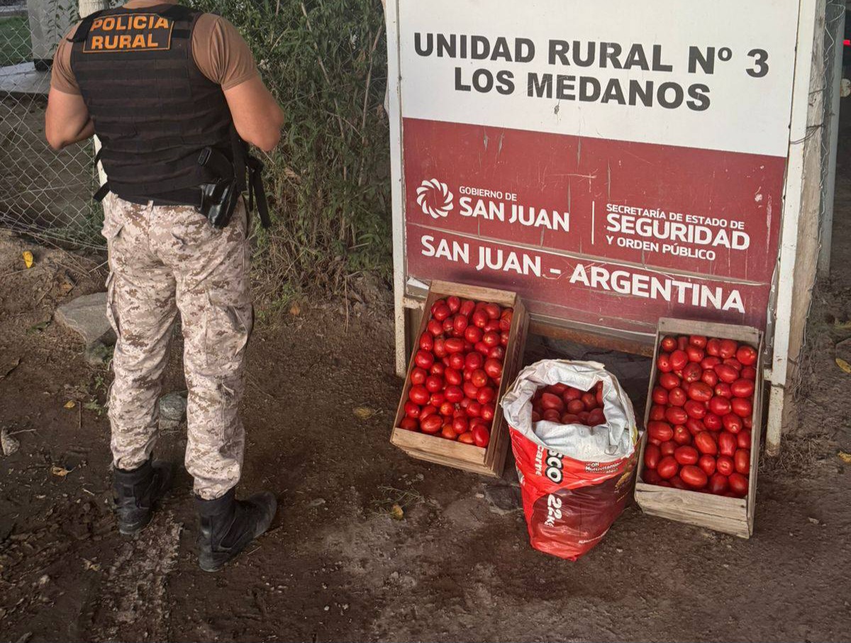 Caucete: los atraparon robando tomates y pasas