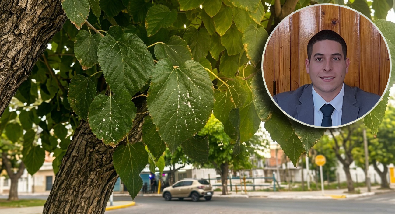 El Concejal Fernández presenta un proyecto para abordar el avance de la plaga en los árboles del departamento