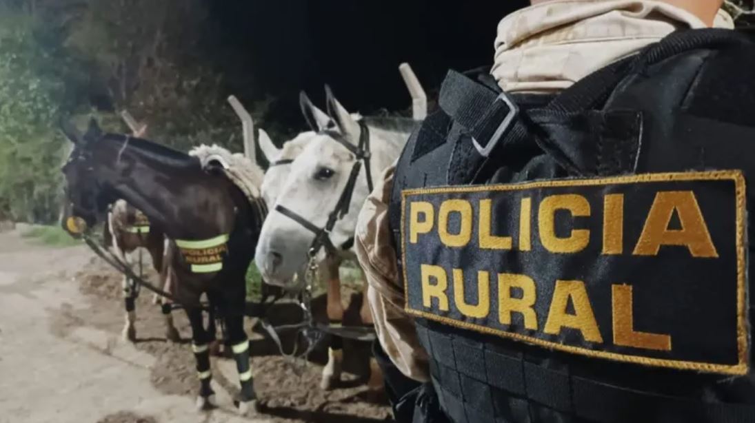Se robaron un burro de una finca de 25 de Mayo y la Policía lo encontró faenado