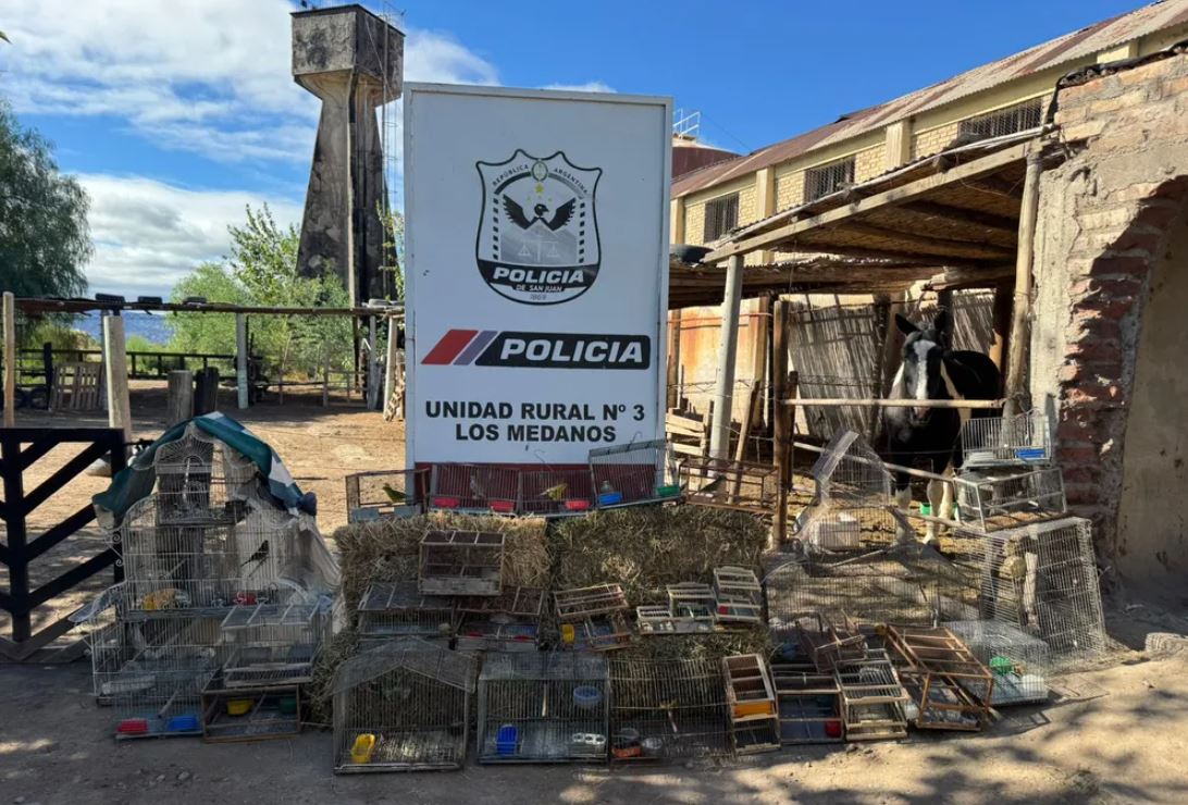 Caucete: desbarataron dos puntos de venta ilegal de aves autóctonas