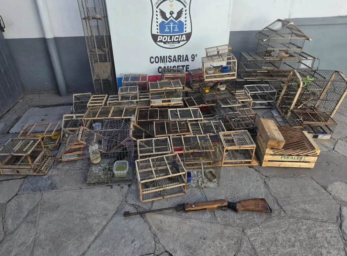 Caucete: rescataron 26 aves y detuvieron a ocho personas