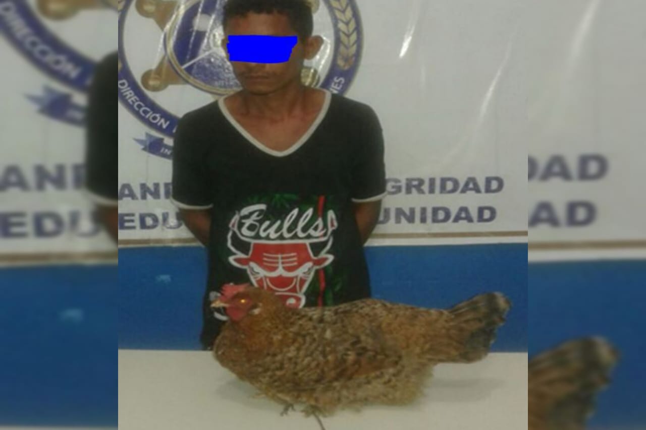 25 de Mayo: pasará dos meses en prisión por robar 7 gallinas