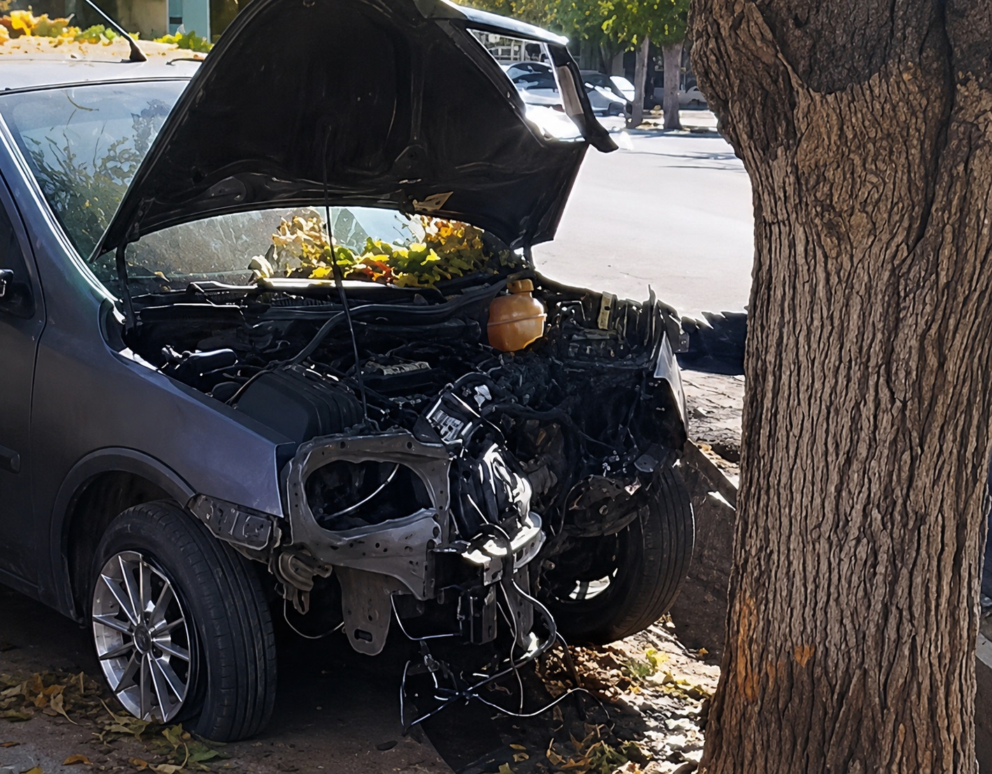 Caucete: un conductor se quedó dormido al volante, perdió el control y estrelló su auto contra un árbol