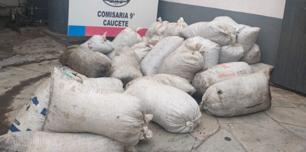 Caucete: descubren 2.500 kilos de pasas, plantas de marihuana y hay detenidos