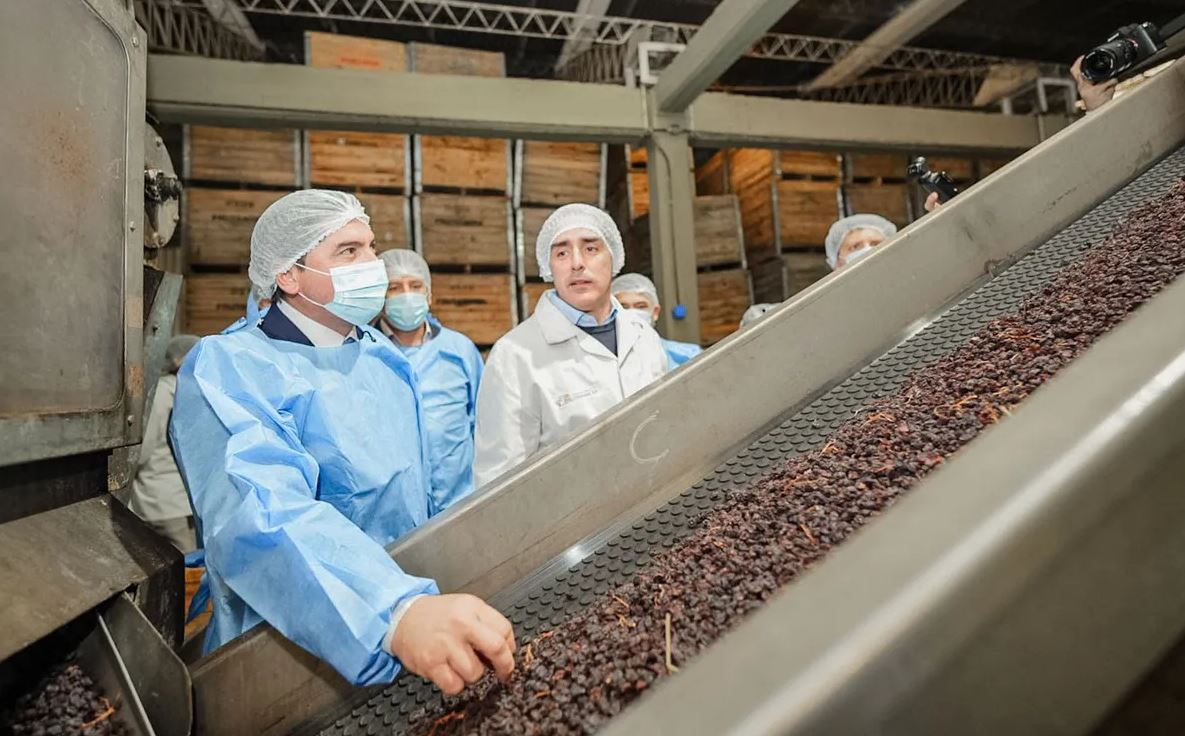 Orrego visitó una exportadora de pasas que apuesta a crecer con energía limpia
