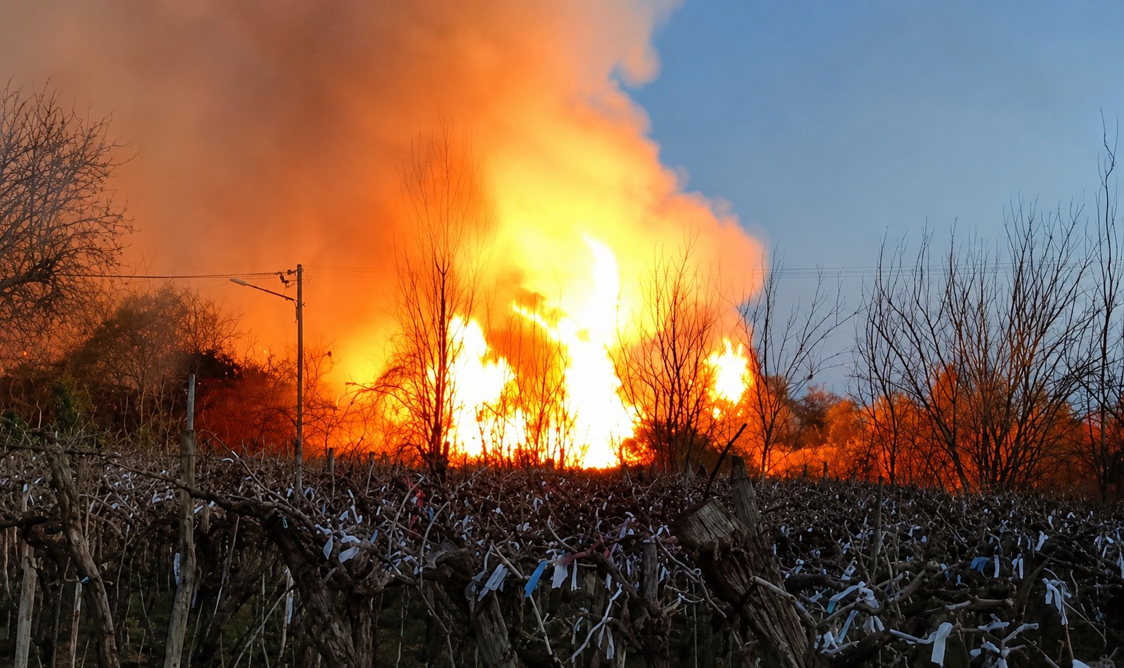 Caucete: Voraz incendio arrasó una finca y generó alarma