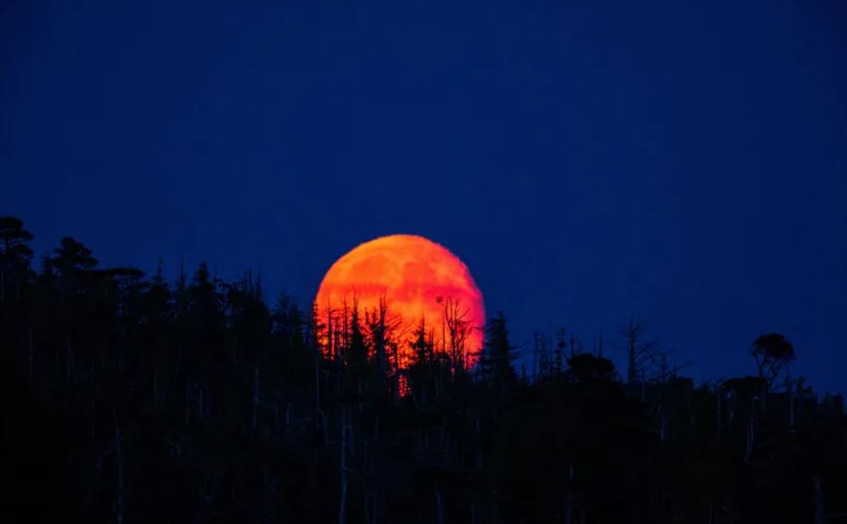 Hoy, se podrá ver la «luna roja» en San Juan