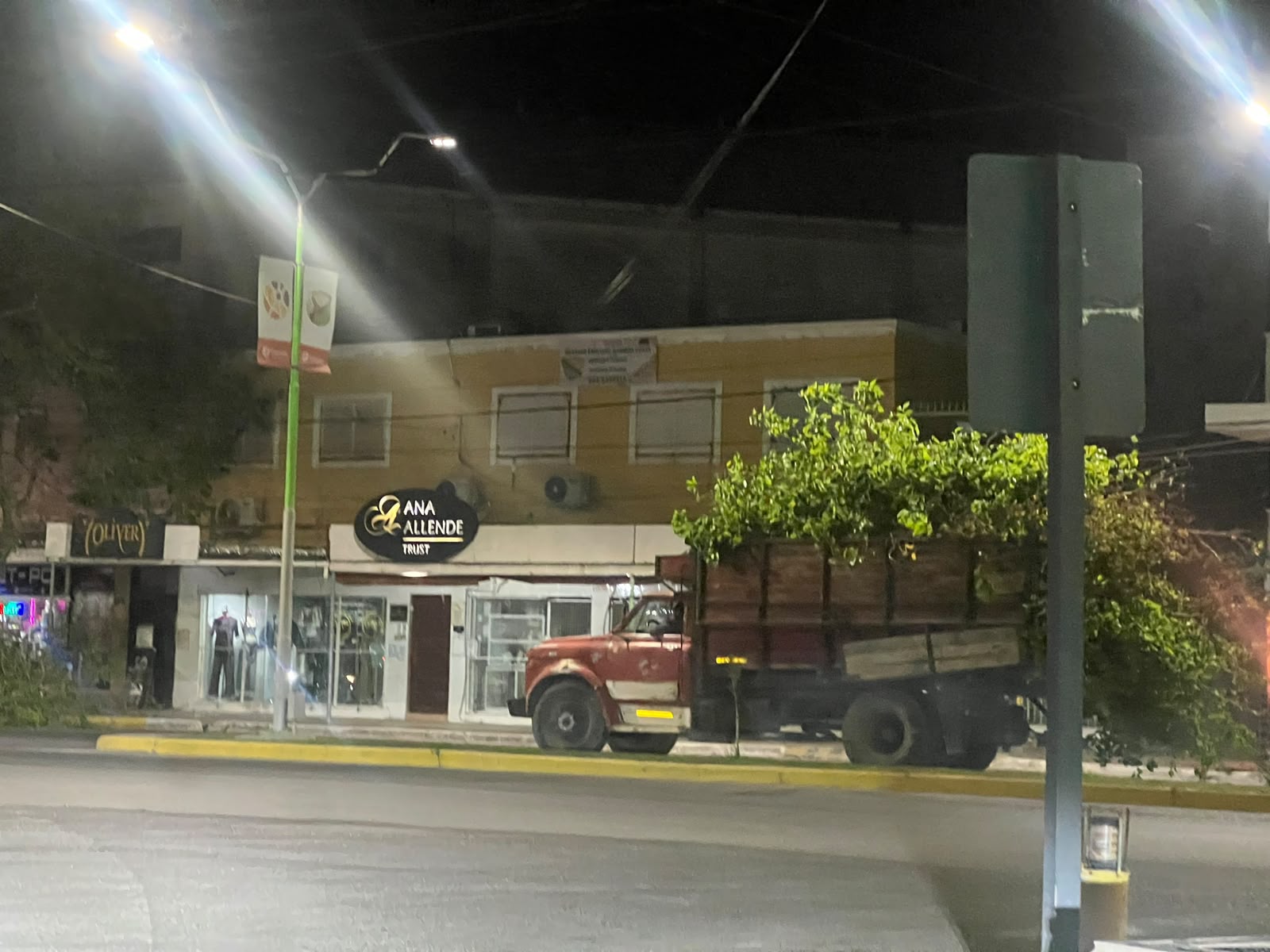 Ante el pedido vecinal, los concejales presentaron una comunicación sobre la poda fuera de tiempo