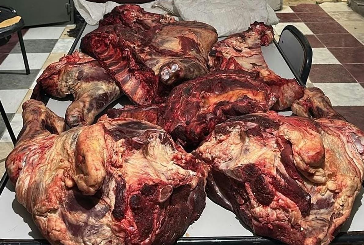 Lo frenaron en Difunta Correa y descubrieron con 80 kilos de carne en bolsas
